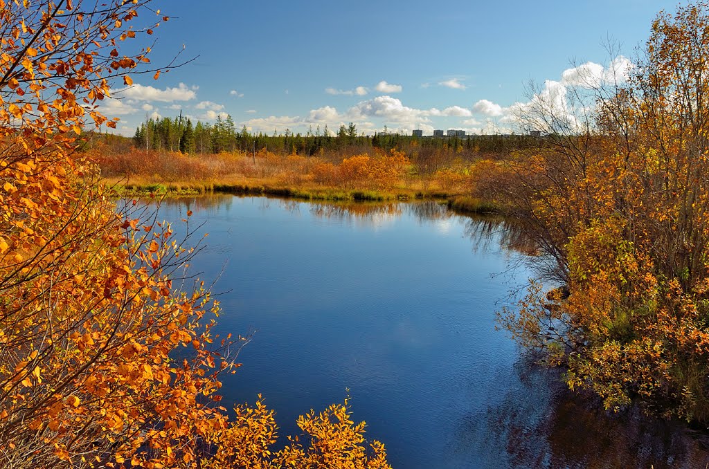 ОСЕНЬ/AUTUMN