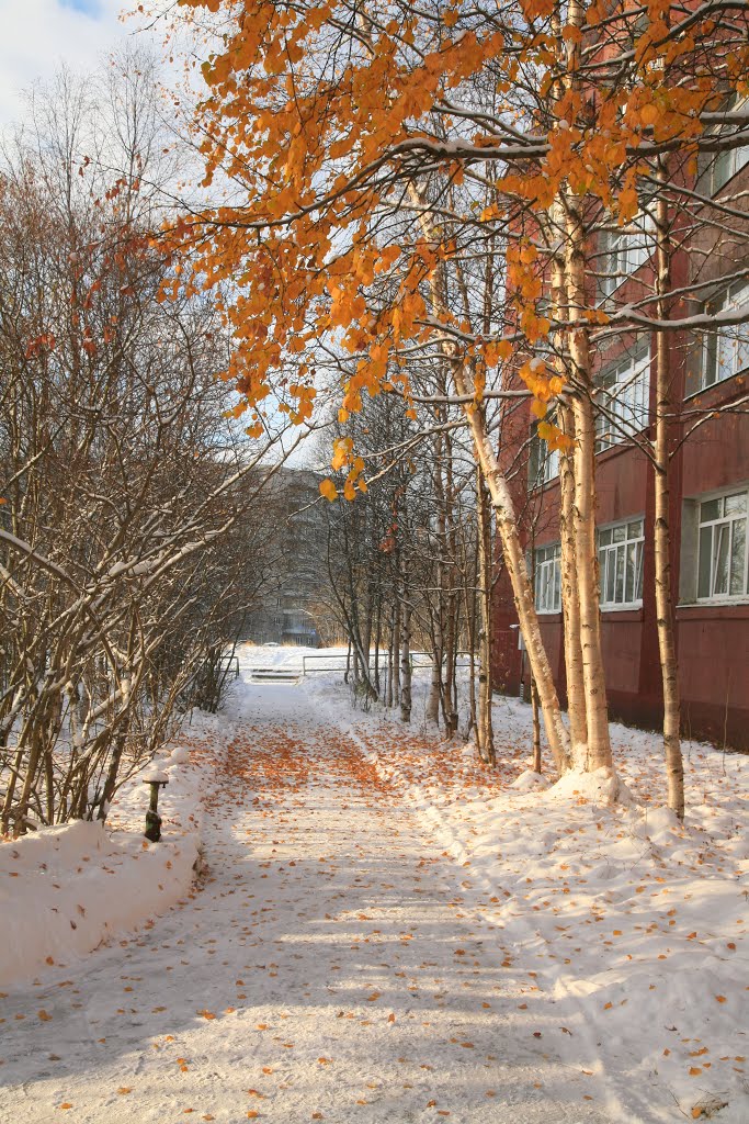 ЗИМА в обнимку с ОСЕНЬЮ.