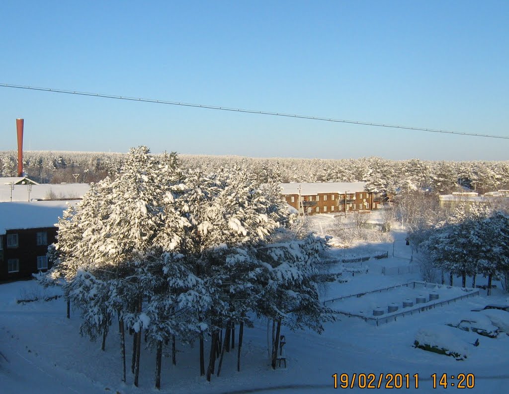 Взгляд из окна