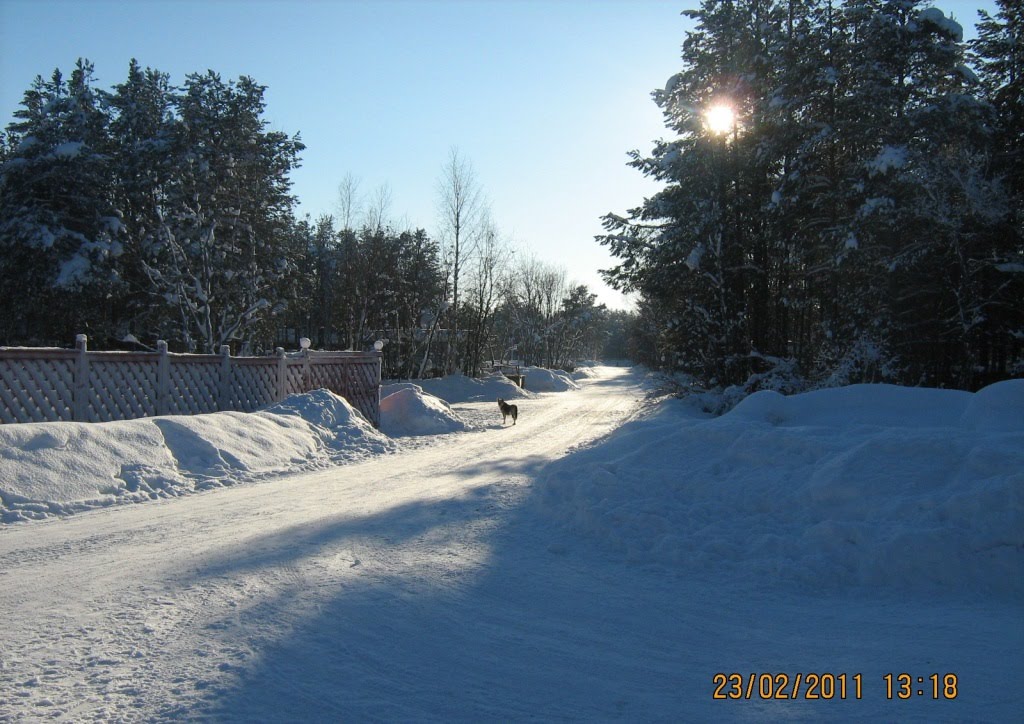 ул. Кольцевая