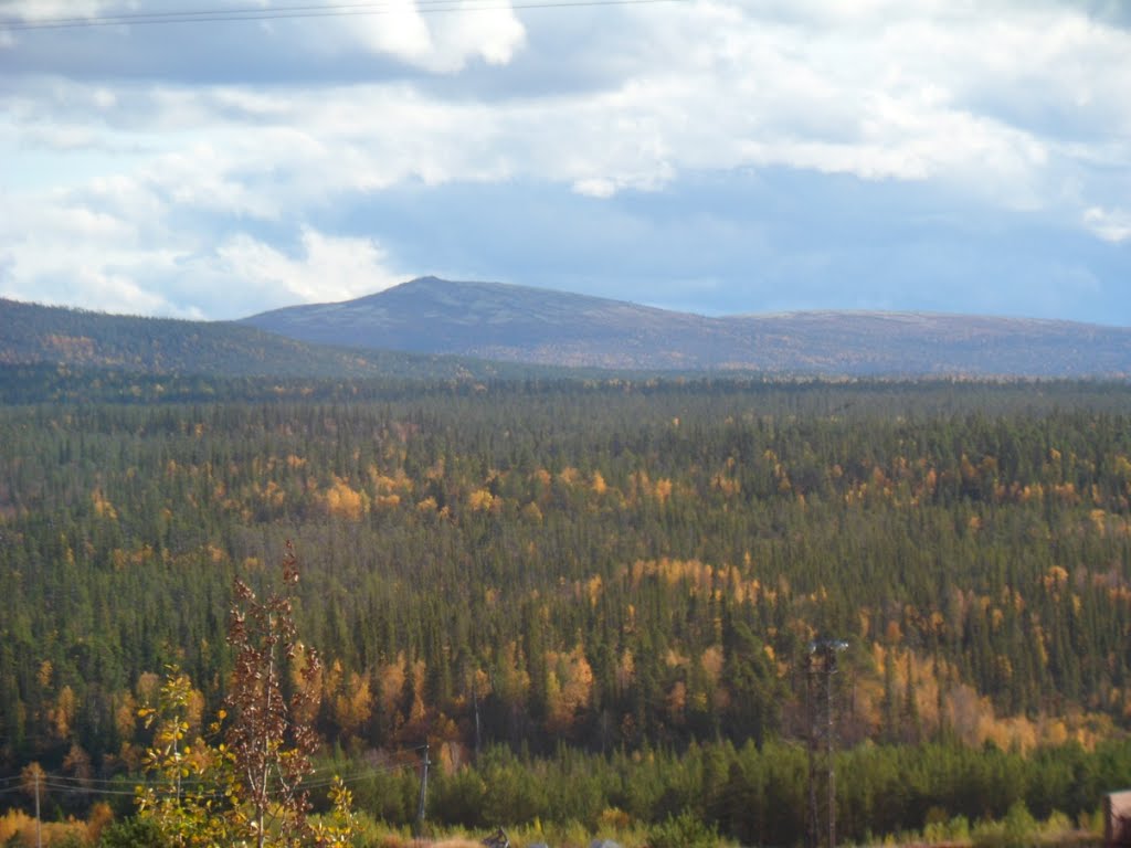 Сентябрь