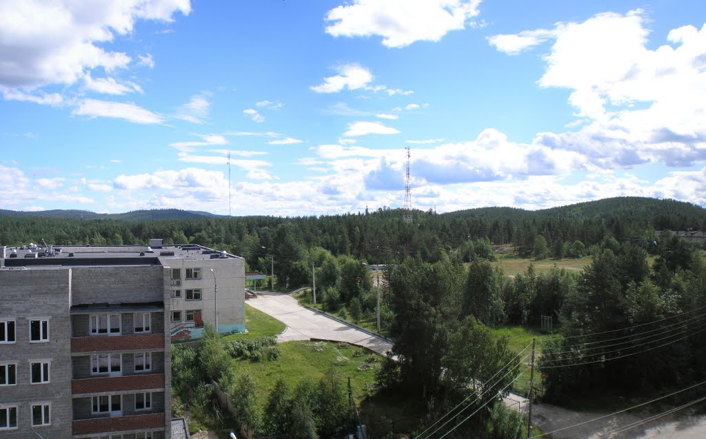 Вид с кровли. 2010 г.