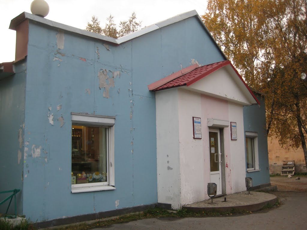 Кандалакша (магазин "Ромашка")