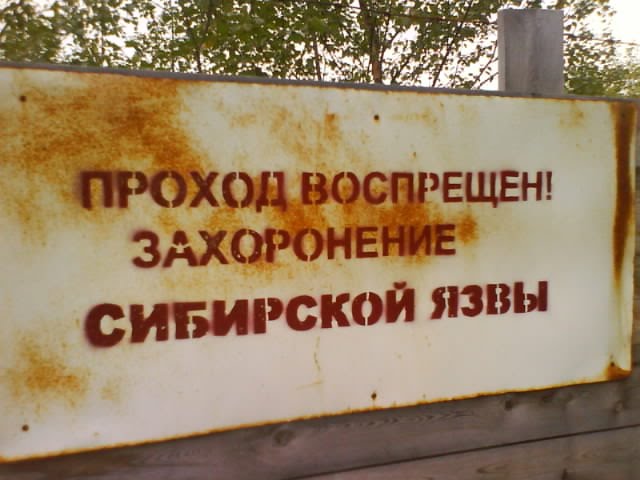 Murmansk