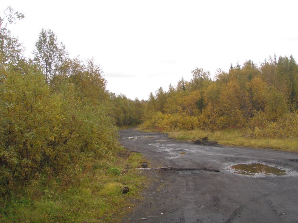 Велотрасса "Лапландия", грунтовый участок за ж/д переездом п.Кильдинстрой