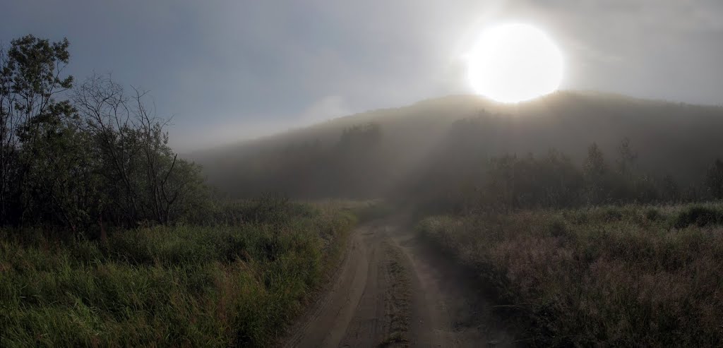 Sunrise & fog