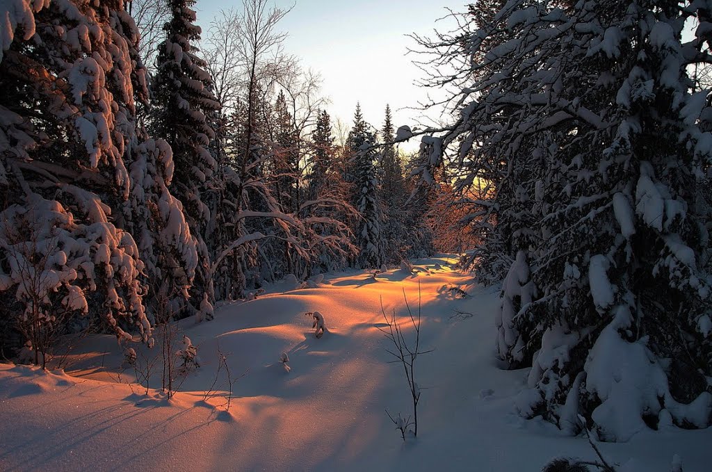-30 Январь 2014