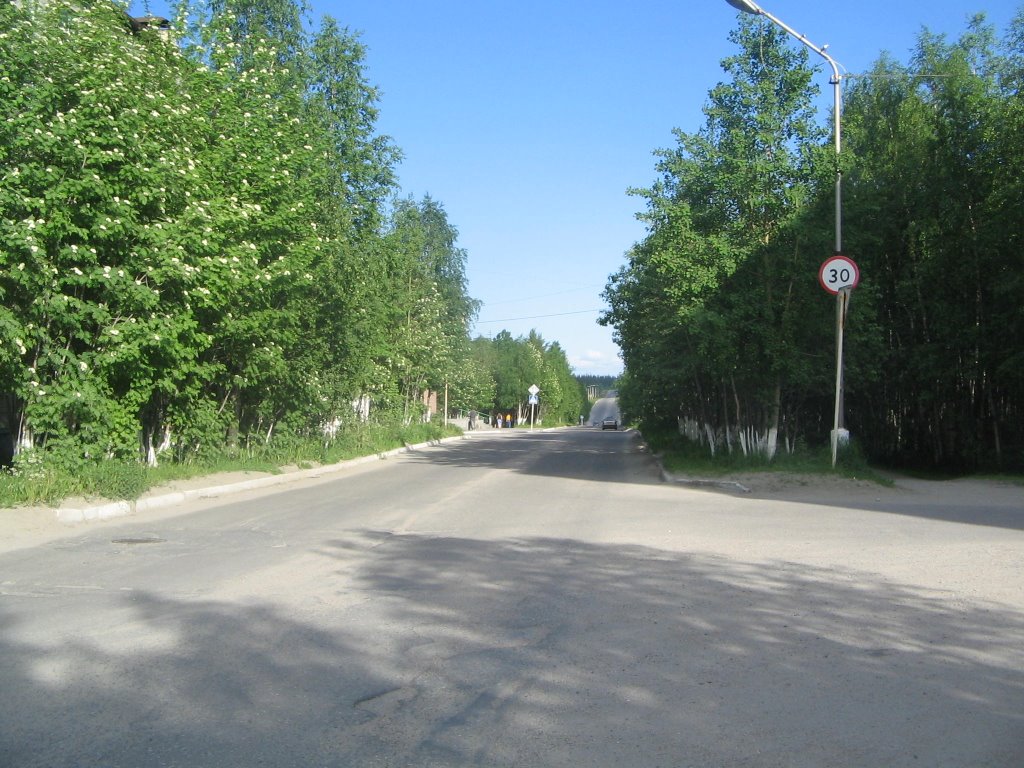 кошица