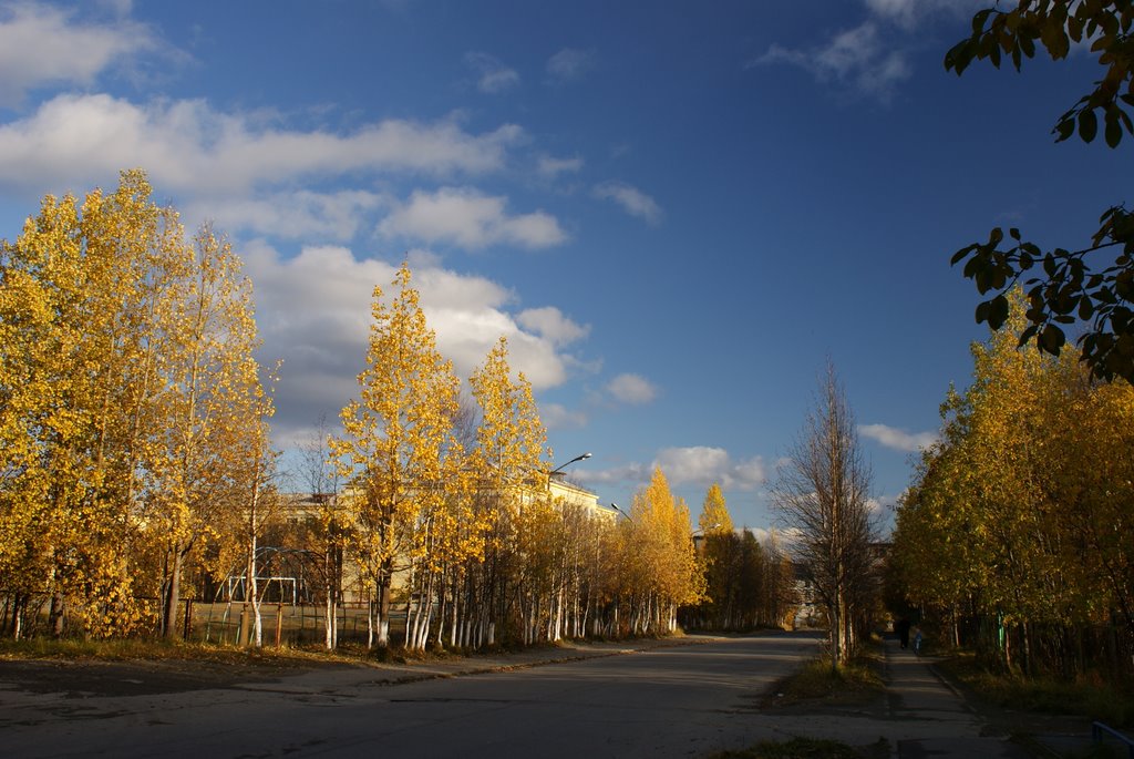 ул. Победы