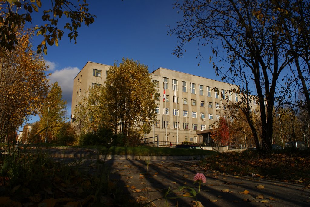 управление комбината