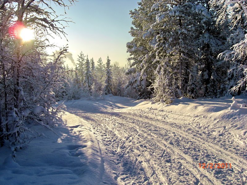 Northern decline