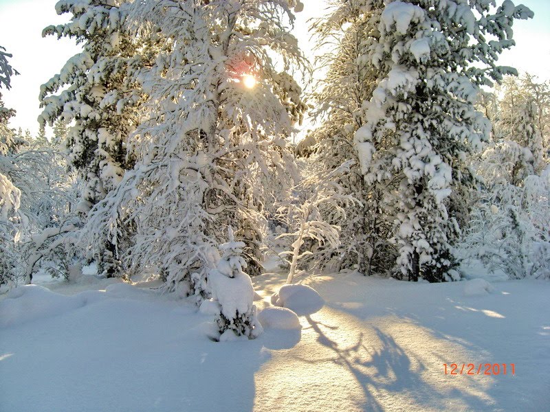 Poor northern sun