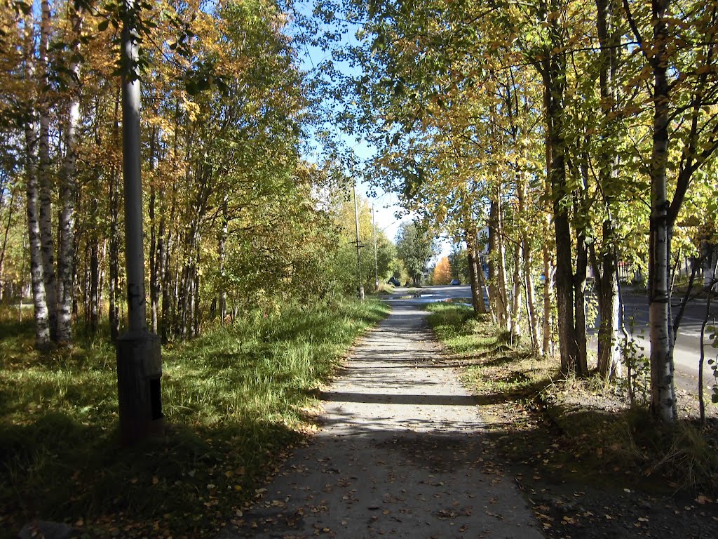 Осенняя аллея