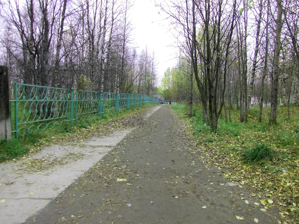 опавшие листья