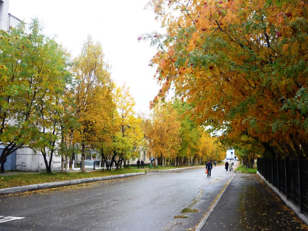 Советский проспект, Кола