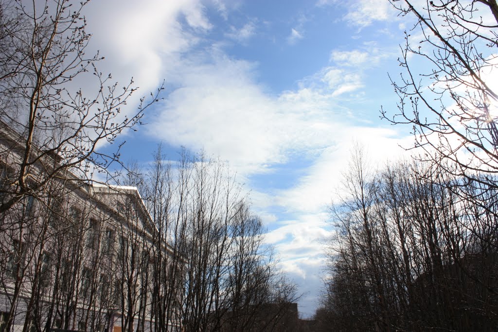 sky over the school