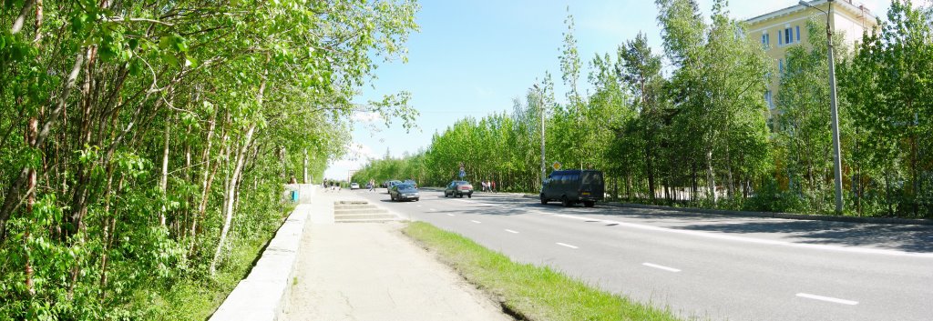пр, Металлургов 2009