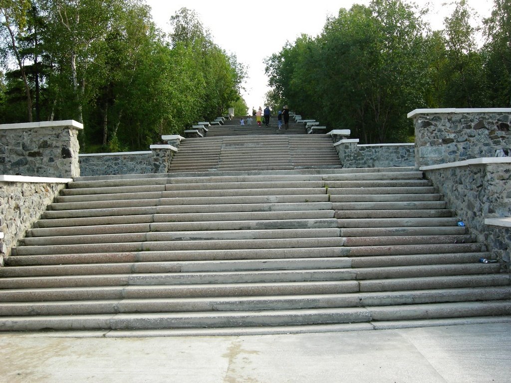 лестница в парке