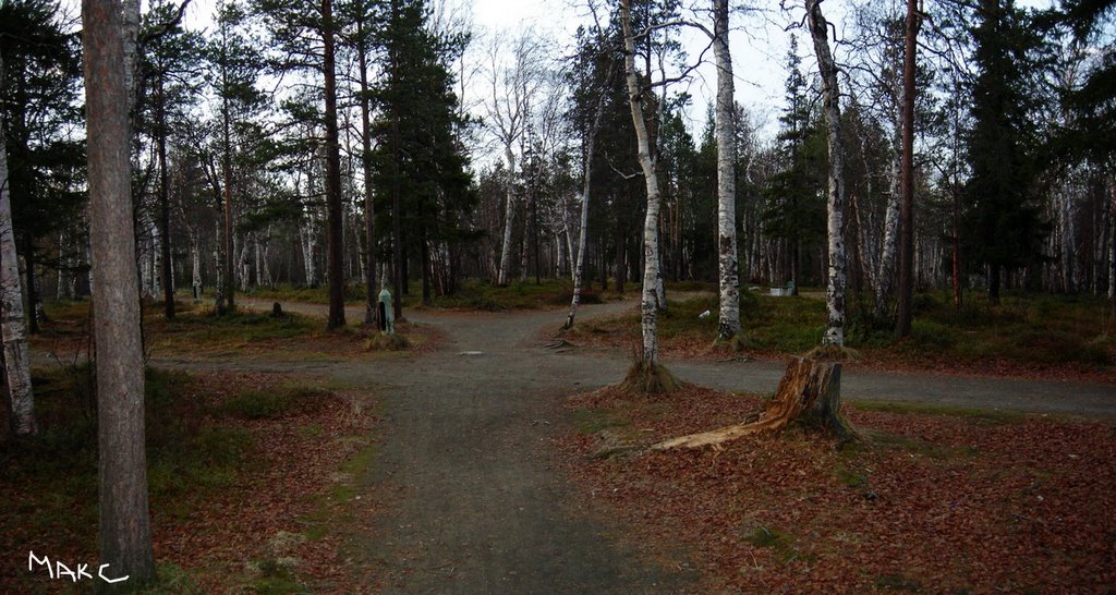 в парке