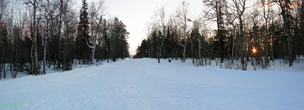 парк 10 февраля 2010