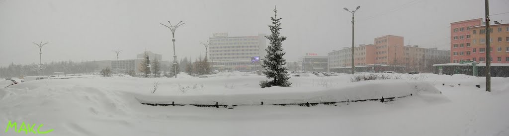 ёлочка