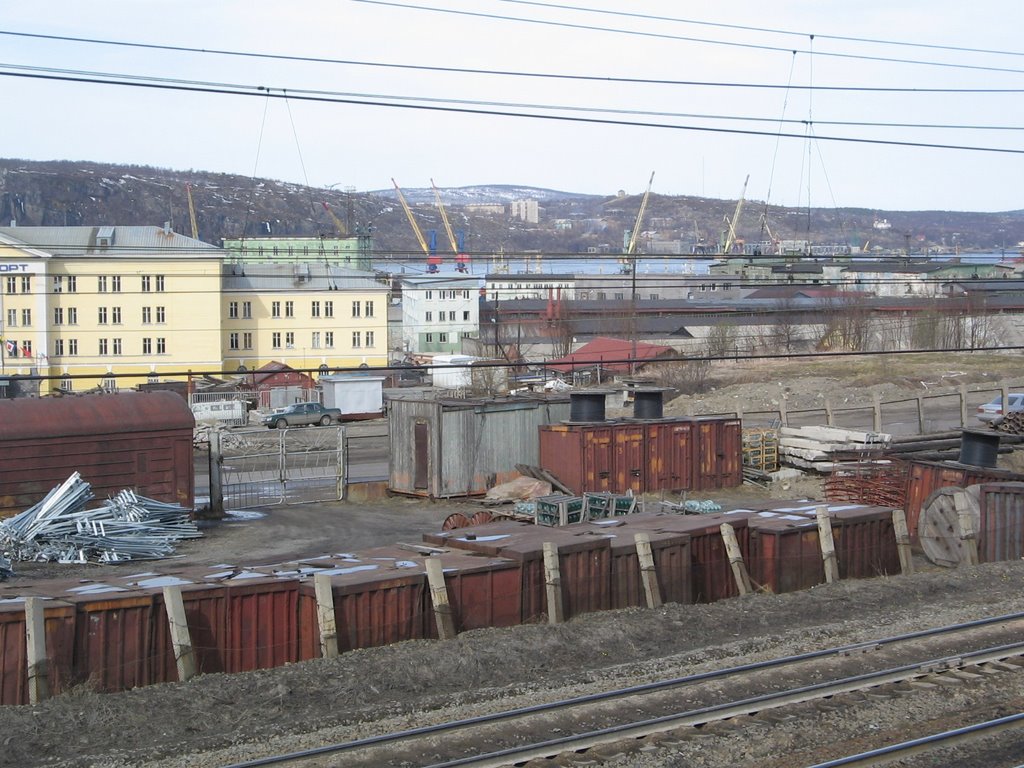 Sea fish port. Murmansk