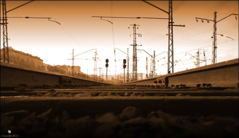 tracks