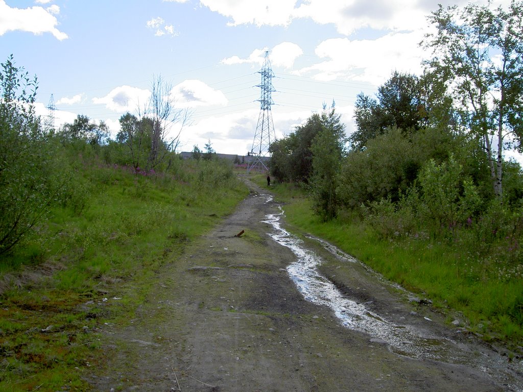 Ручей на ул. Торговой. 2005 год.