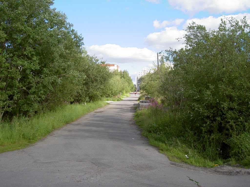 Улица Кайкова летом 2005 года.