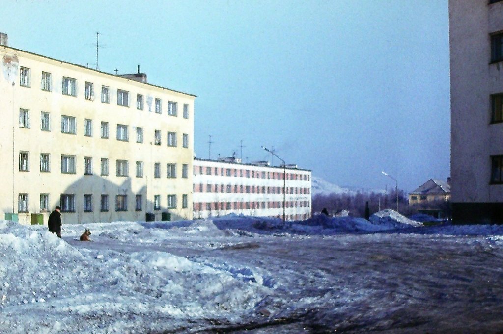 Улица Цесарского в 1974 году