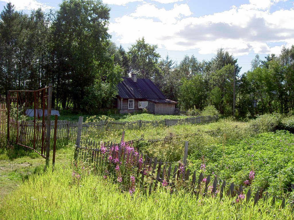 Мурмашинское лесничество Кольского лесхоза.