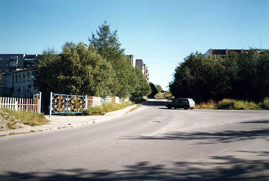 Начало улицы Цесарского. 2002 год.