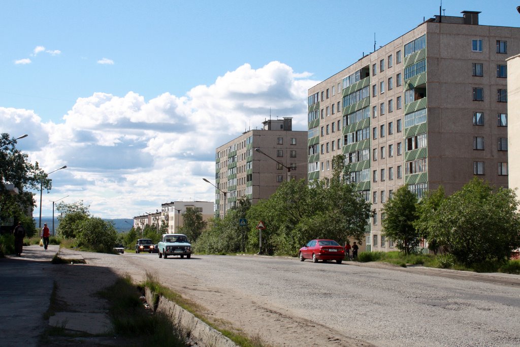 Никель 2008