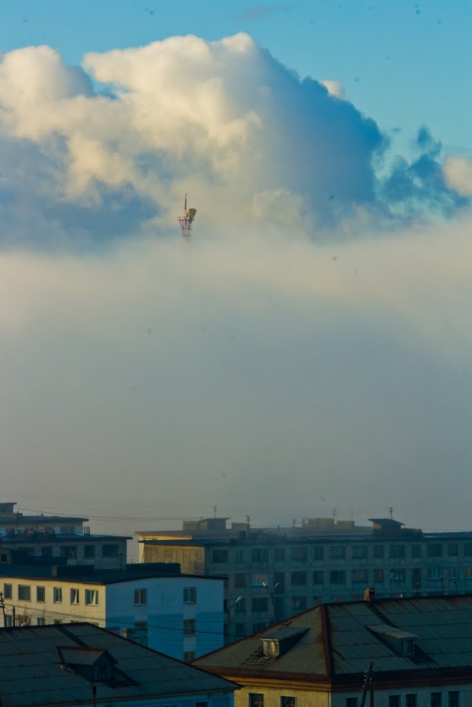 Никель в тумане.