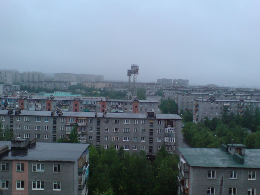 с крыши дома