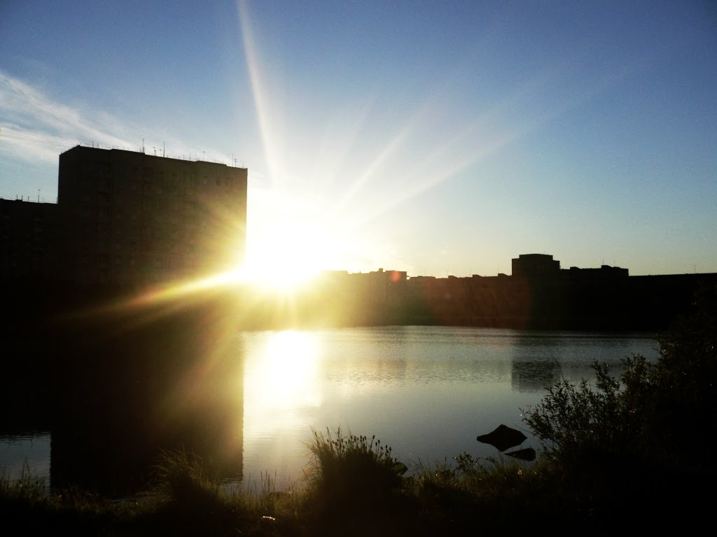 Polar Day at 2:00 AM
