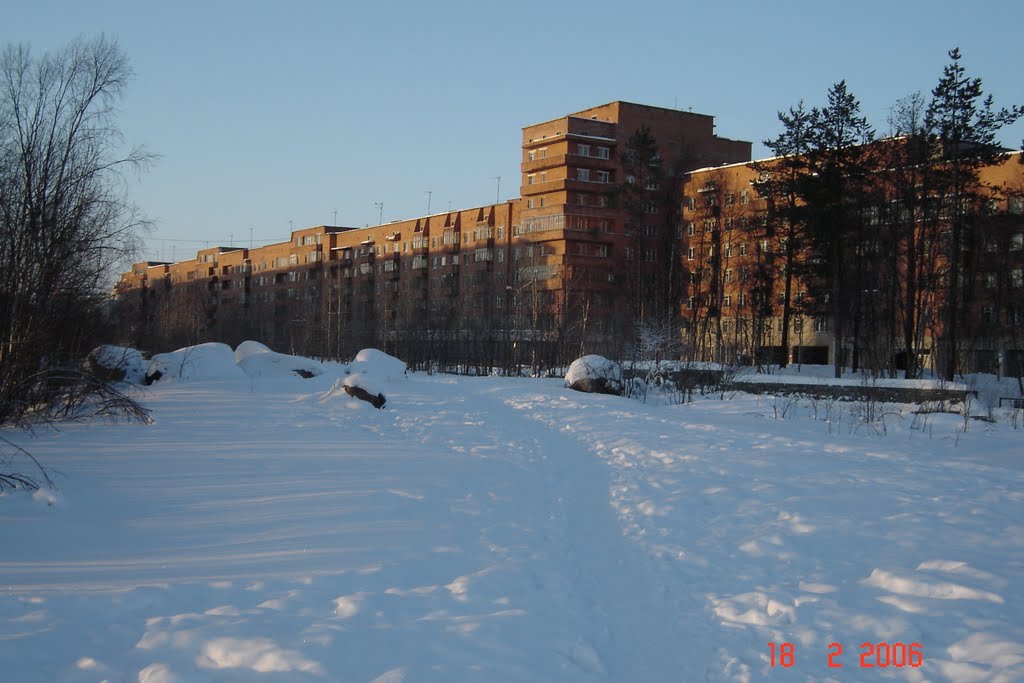 Зима 2006 год