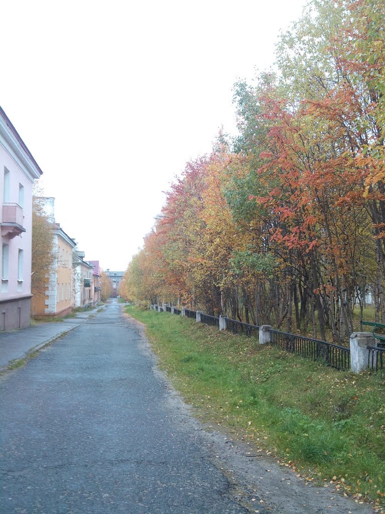 Золотая осень в Оленегорске.