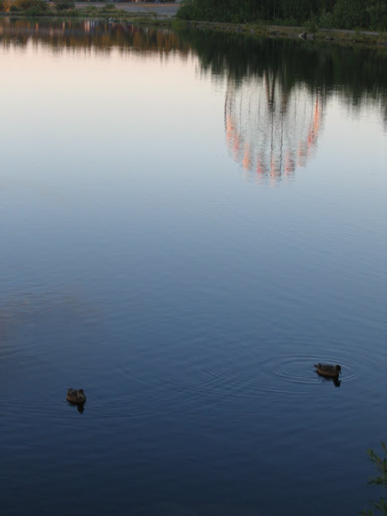 Reflection