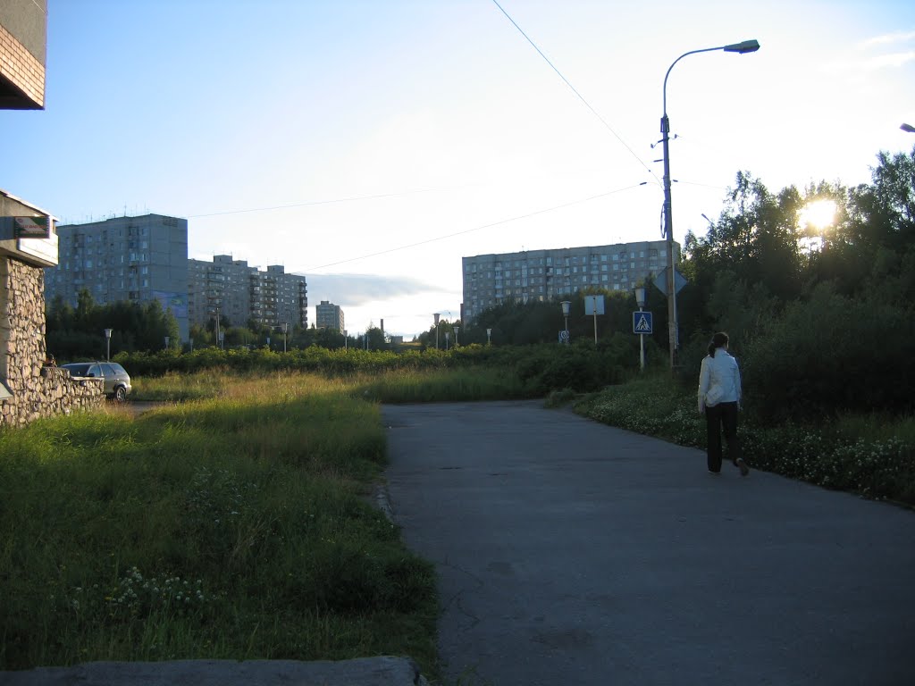 Закат (и Томсик)