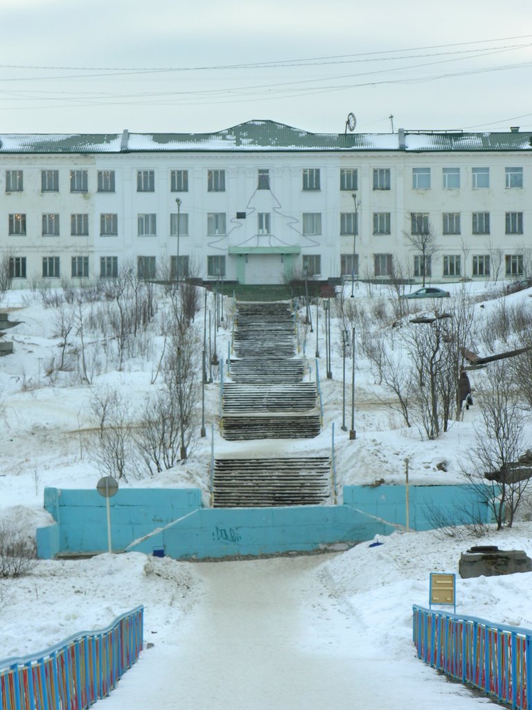 School №1 of a name of M.A. Pogodin