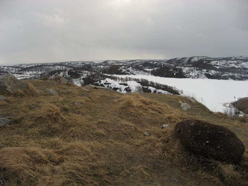 Тундра