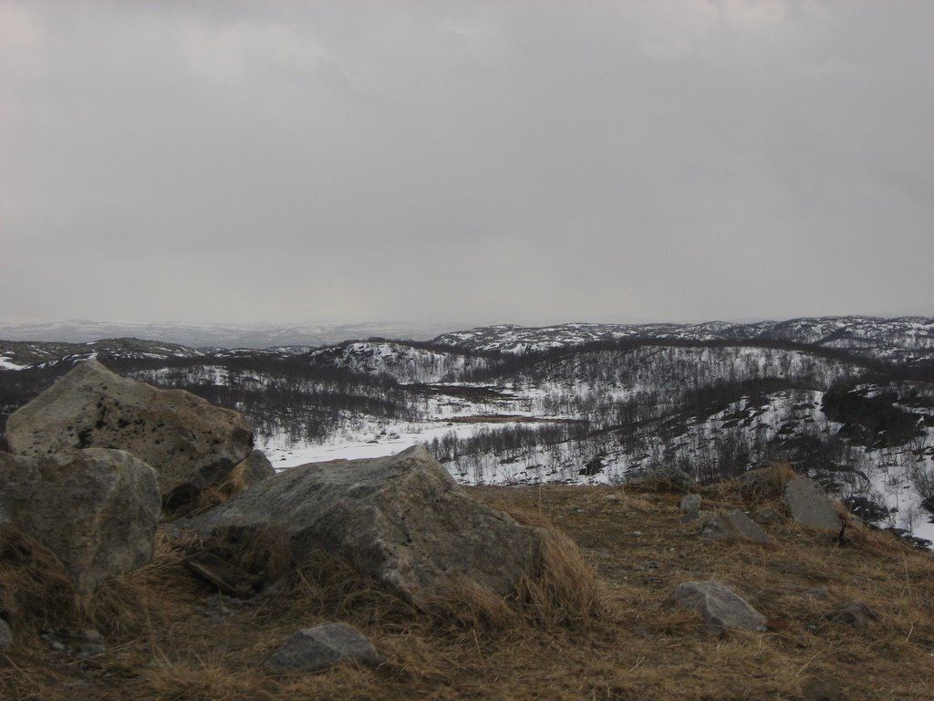 Тундра