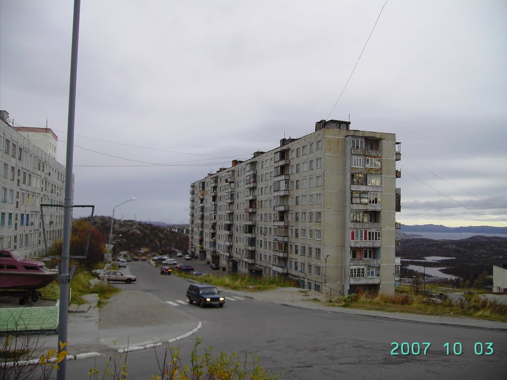 Шатающийся дом на стяжках (Победы, 2)