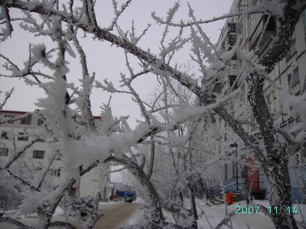Зима, влажность 99 процентов