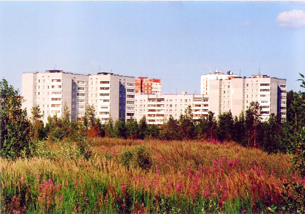 вид на ПЗ