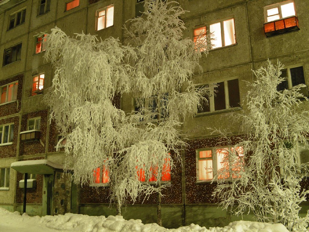 ночь