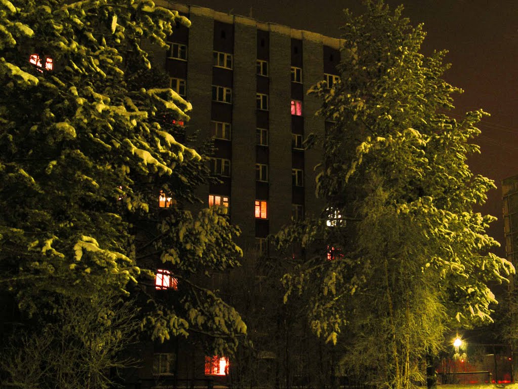 Курчатова 24