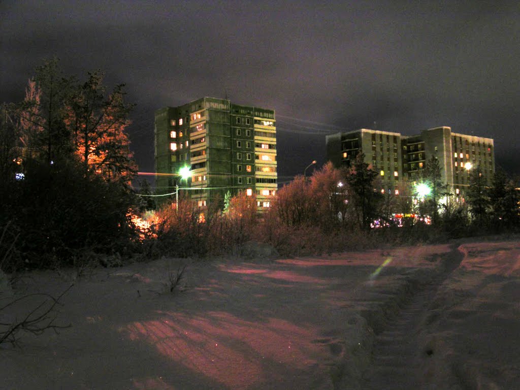 Энергетиков 19