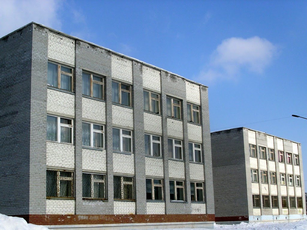гимназия №1